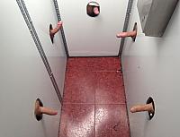 penis photo