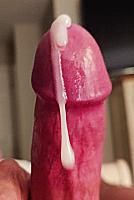 wiener